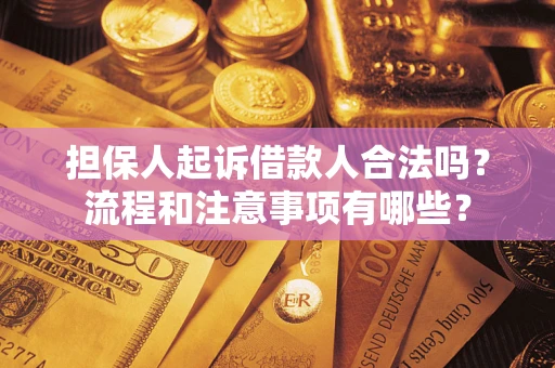 武汉担保人起诉借款人合法吗？流程和注意事项有哪些？