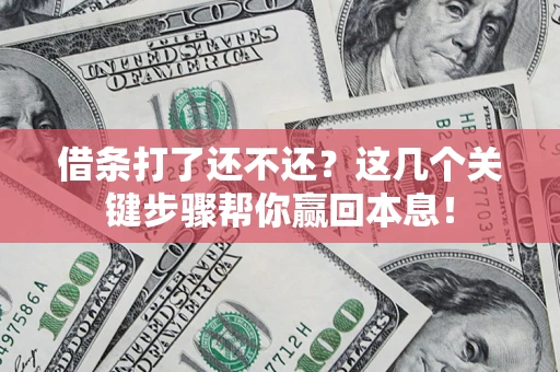 武汉借条打了还不还？这几个关键步骤帮你赢回本息！
