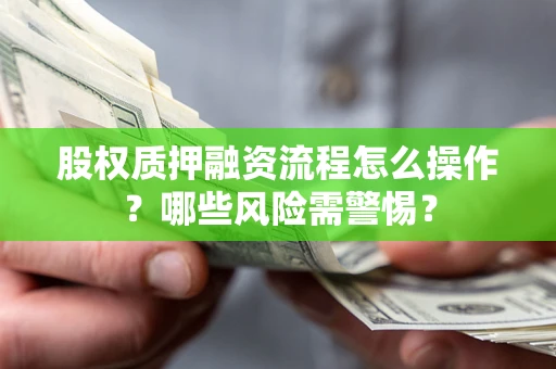 武汉股权质押融资流程怎么操作？哪些风险需警惕？