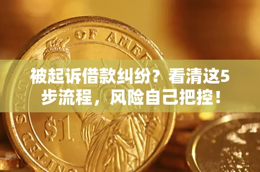 武汉被起诉借款纠纷？看清这5步流程，风险自己把控！
